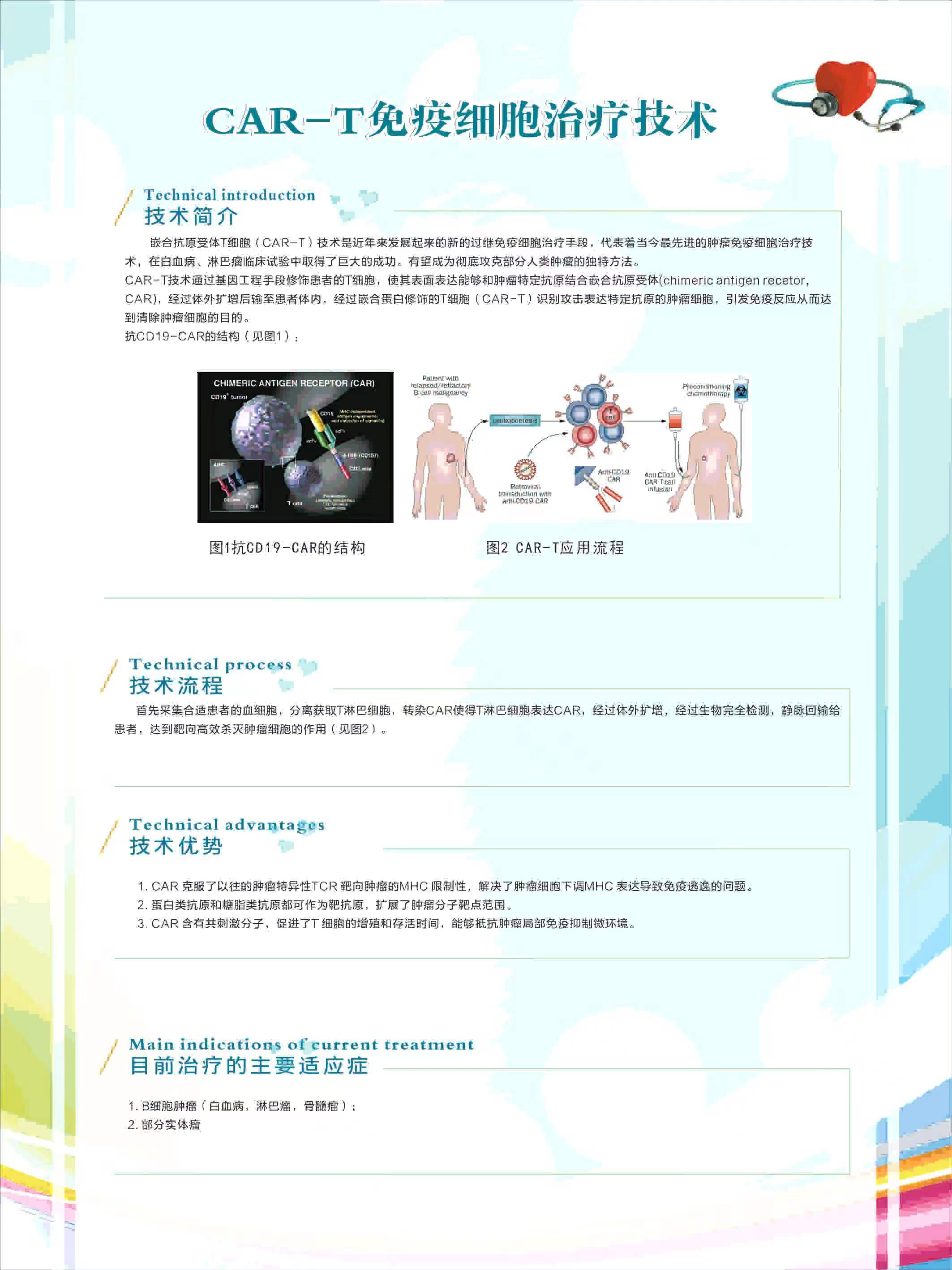 CAR-T免疫细胞治疗技术