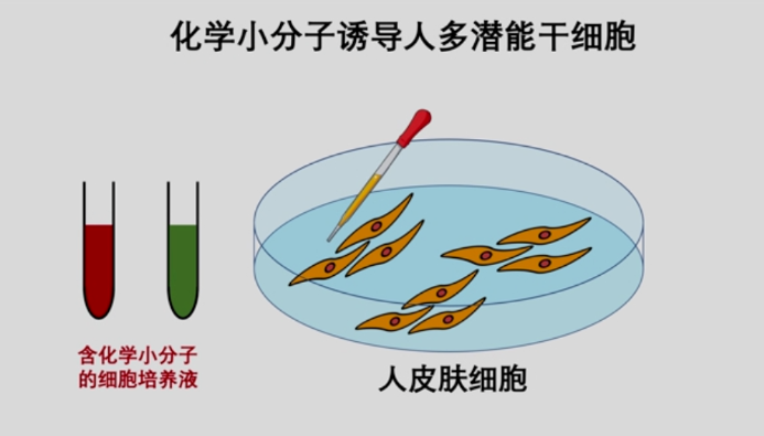 Nature重磅:我国干细胞制备技术获重要突破!